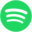 SPOT logo